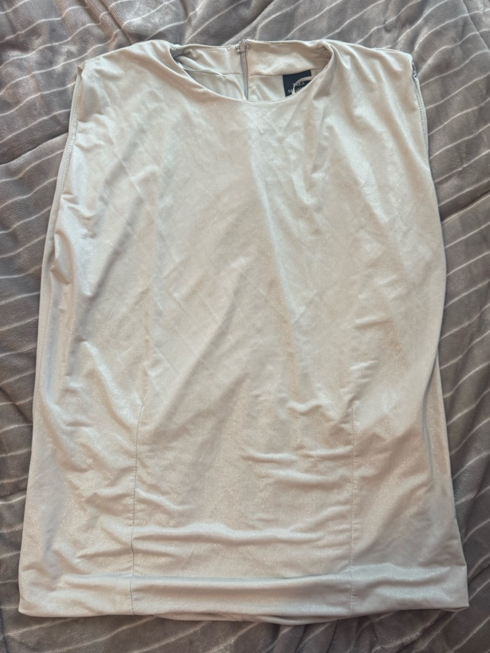 Zara Silver Metallic Sleeveless Blouse Size Medium